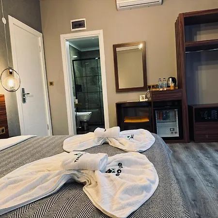 Hotel Treekos Istanbul Airport Arnavutkoy