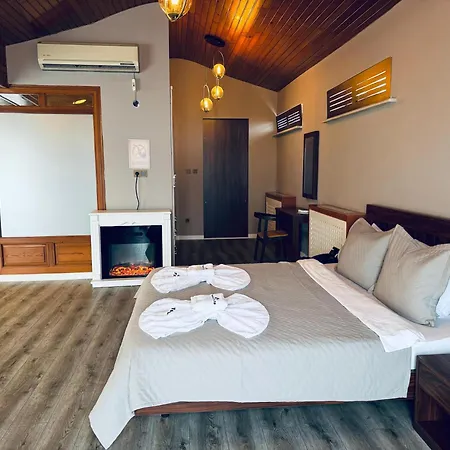 Hotel Treekos Istanbul Airport 4*