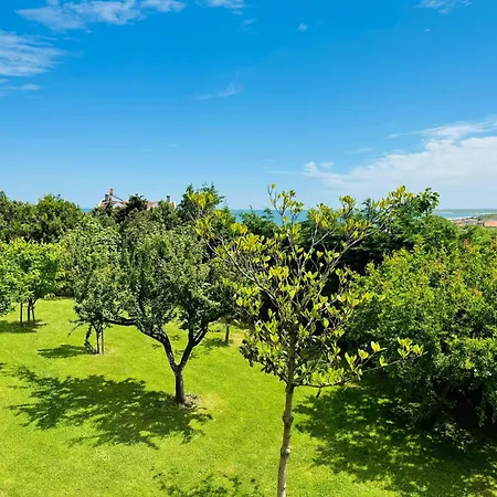 Hotel Treekos Istanbul Airport Arnavutkoy