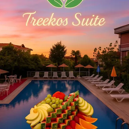 فندق Treekos Istanbul Airport 4*