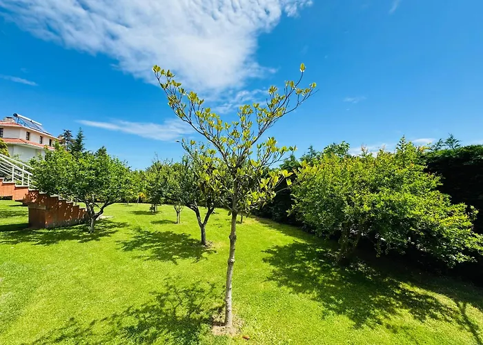 Treekos Istanbul Airport 호텔 Arnavutkoy