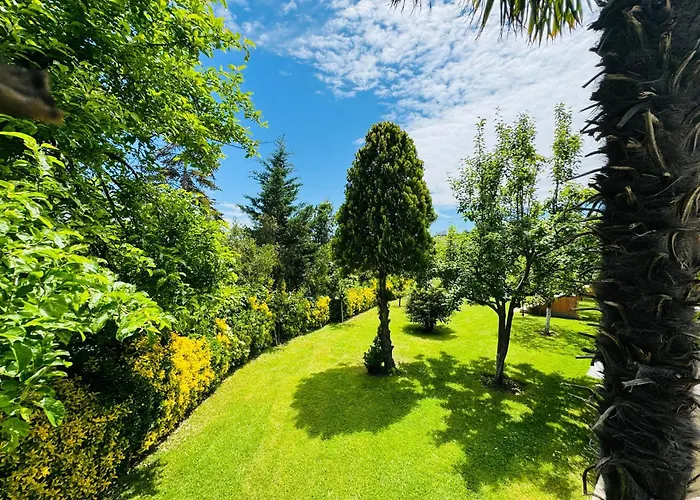 Treekos Istanbul Airport