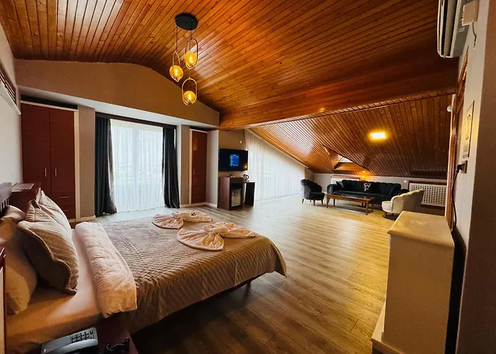 Treekos Istanbul Airport 4*