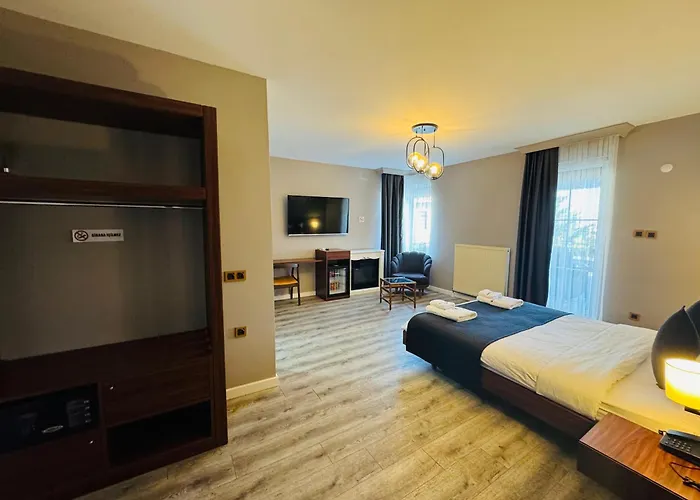 호텔 Treekos Istanbul Airport 4*