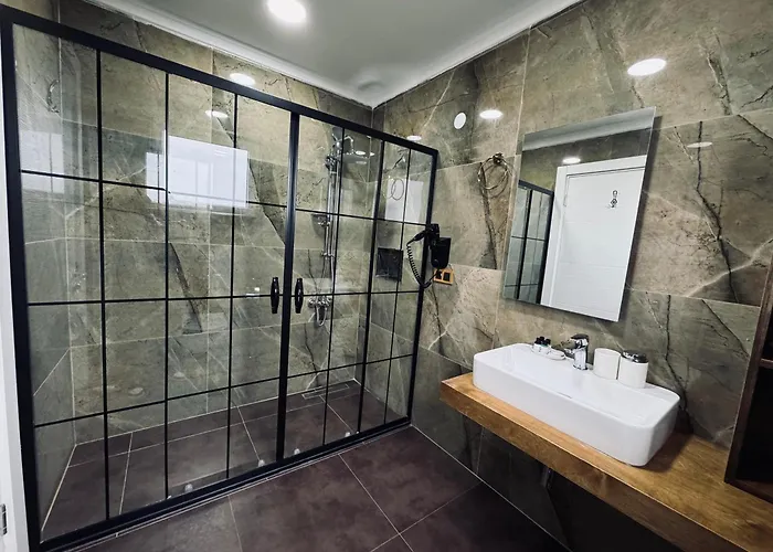 호텔 Treekos Istanbul Airport